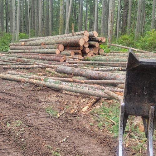 Land clearing Timberline Excavating LLC